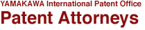 Patent Attorneys