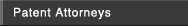 Patent Attorneys
